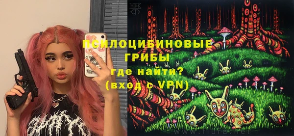 дмт Алексин