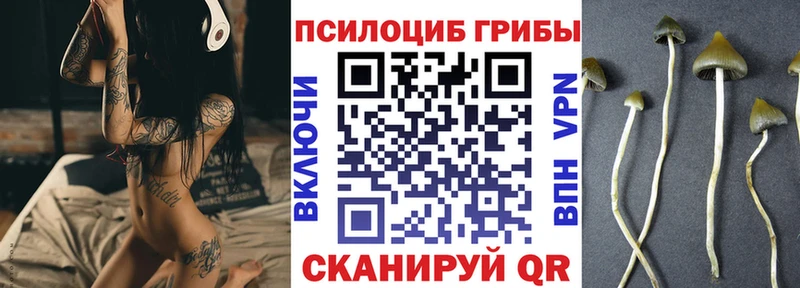 ссылка на мегу как войти  Дедовск  Галлюциногенные грибы GOLDEN TEACHER 
